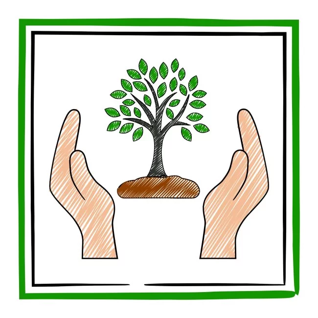 Icon: zwei Hände schützen einen Baum